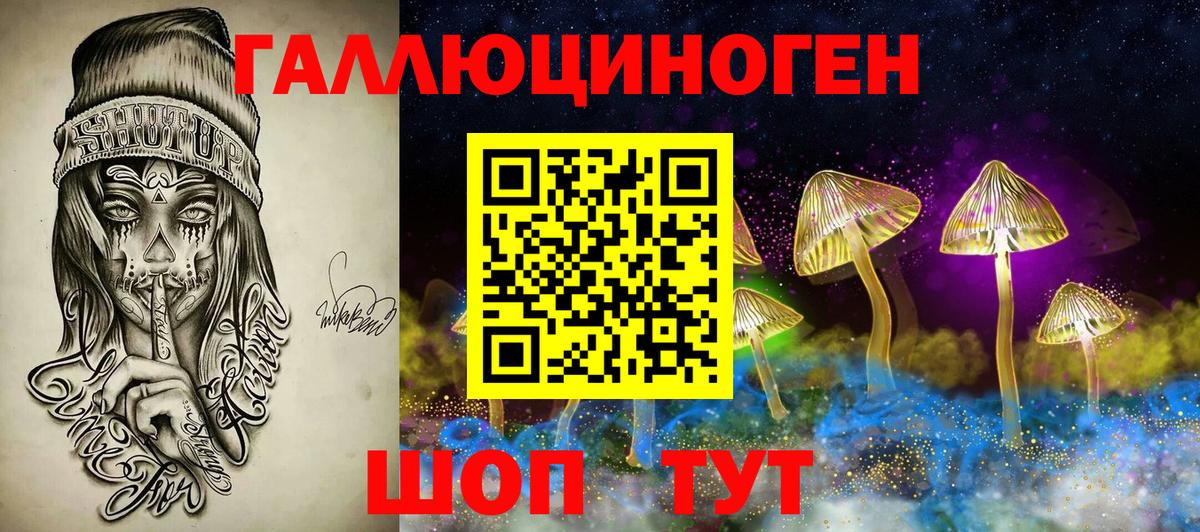 Псилоцибиновые грибы Psilocybine cubensis Костомукша