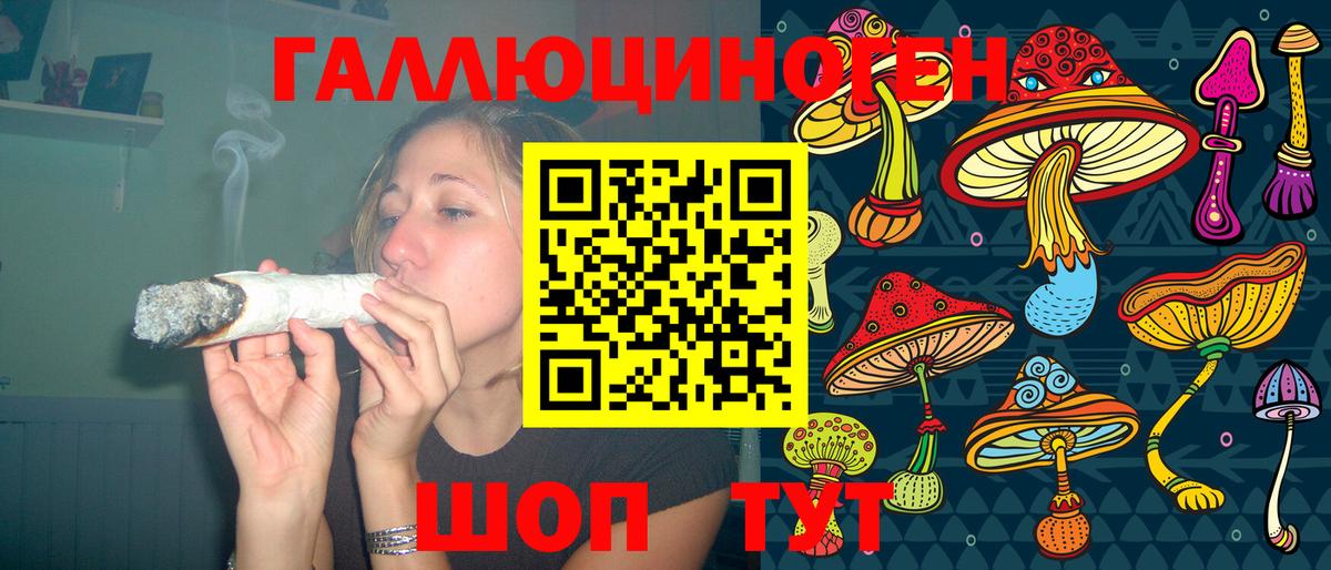 Псилоцибиновые грибы Cubensis  Вход с VPN  Галлюциногенные грибы Cubensis  Костомукша 